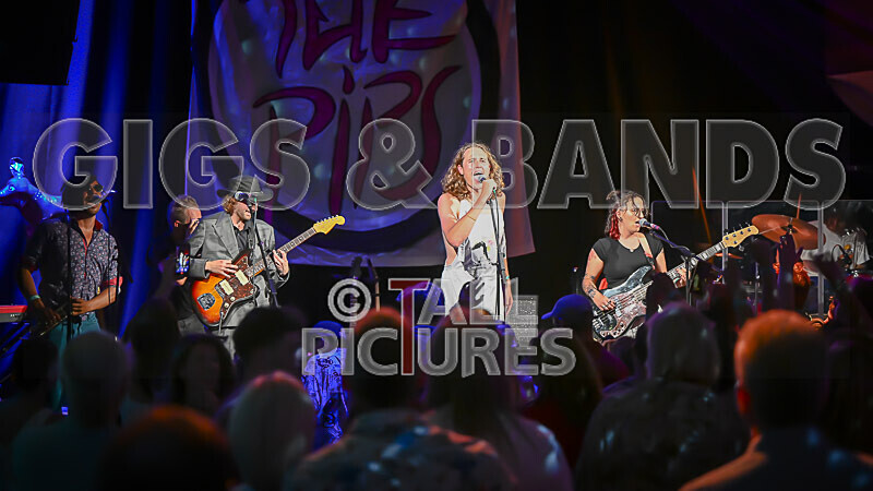 The Pips-78 - THE PIPS