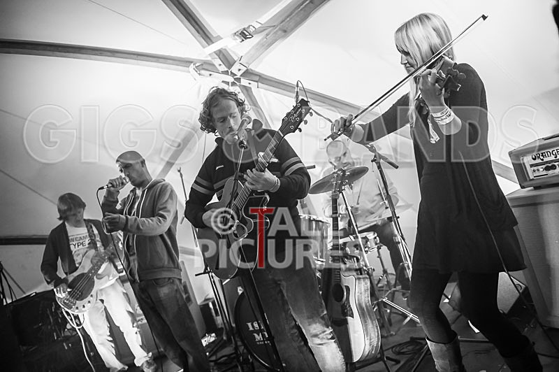 Buffalo Huddleston-237 - BUFFALO HUDDLESTON