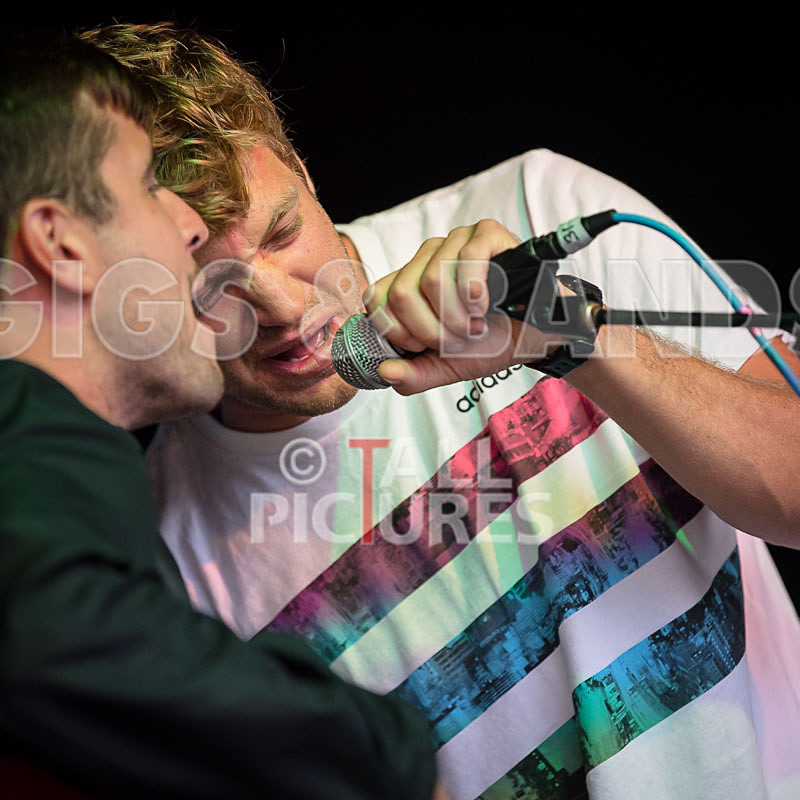 Lizzard Channel-22 - LIZZARD CHANNEL