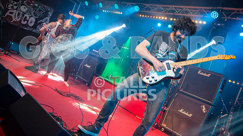 Static Alice-480 - STATIC ALICE