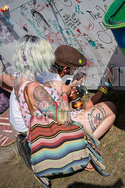 Vale Earth Fair 2017_SCENE-79 - VALE EARTH FAIR 2017_THE SCENE