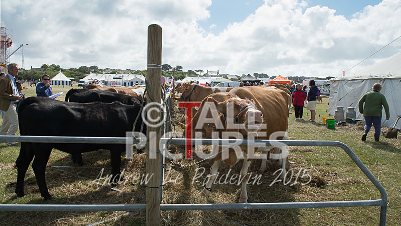 West Show_2014-15 - THE WEST SHOW 2014