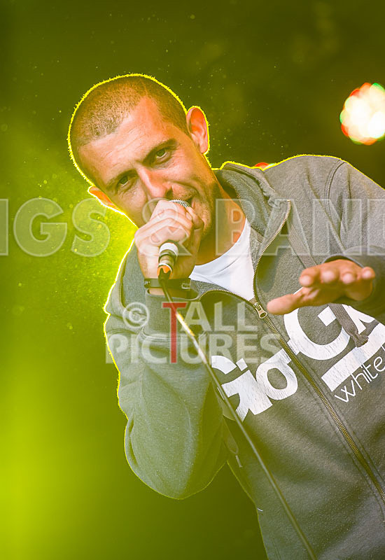 Buffalo Huddleston-379 - BUFFALO HUDDLESTON