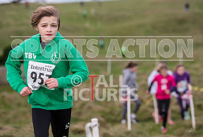 Guernsey Athletics Junior XC_04-02-2018-18 - GUERNSEY ATHLETICS JUNIOR XC_04-02-2018