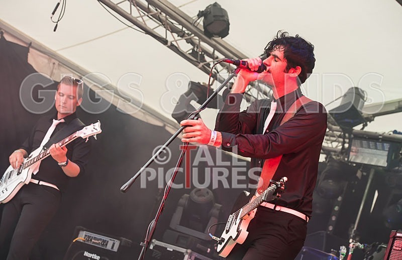 Surfin Birds-5 - THE SURFIN' BIRDS