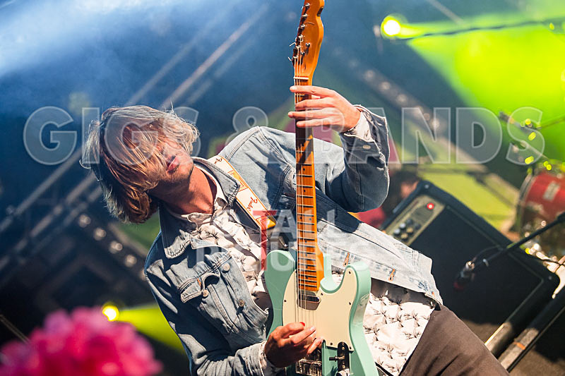 Surfin Birds-10 - SURFIN' BIRDS