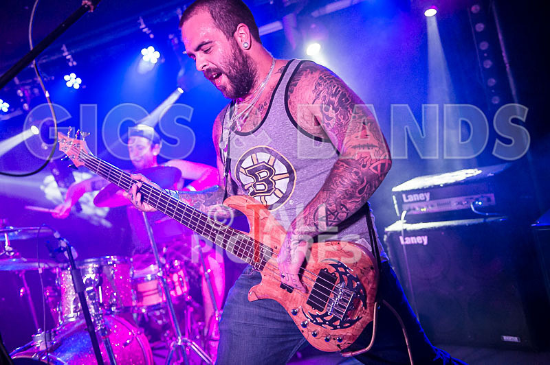 Static Alice-326 - STATIC ALICE