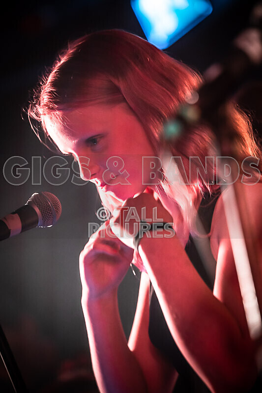 Crocspiracy-7 - CROCSPIRICY