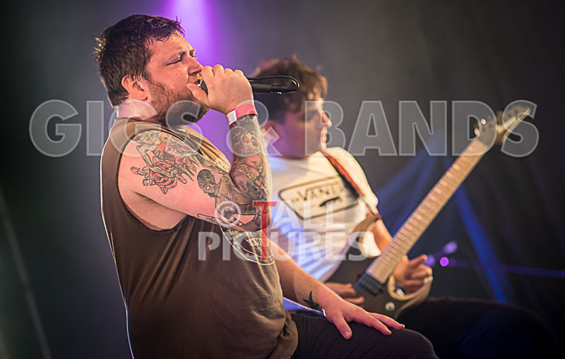 Granite Wolf-6 - GRANITE WOLF