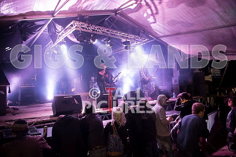 Viking Skull-20 - VIKING SKULL