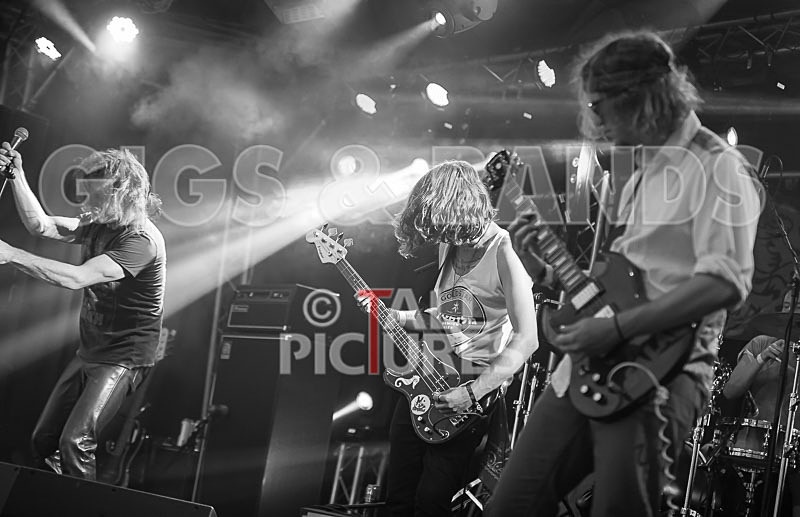 Rat Salad-6 - RAT SALAD