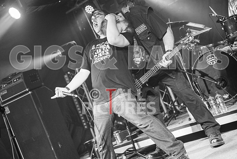 Crazy Babies-123 - CRAZY BABIES