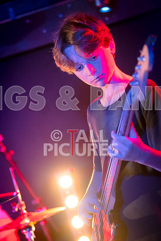 Specific Pistachios-6 - SPECIFIC PISTACHIOS