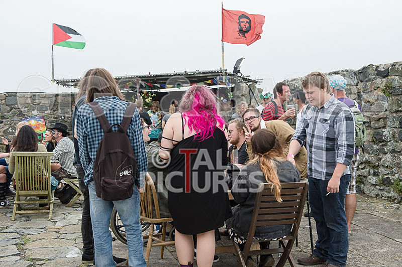 Vale Earth Fair 2015_Atmosphere-27 - VALE EARTH FAIR 2015_THE ATMOSPHERE