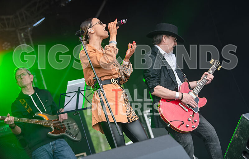 Element 6-36 - ELEMENT 6