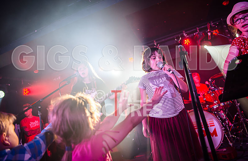 The Flaming Flamingos-11 - THE FLAMING FLAMINGOES