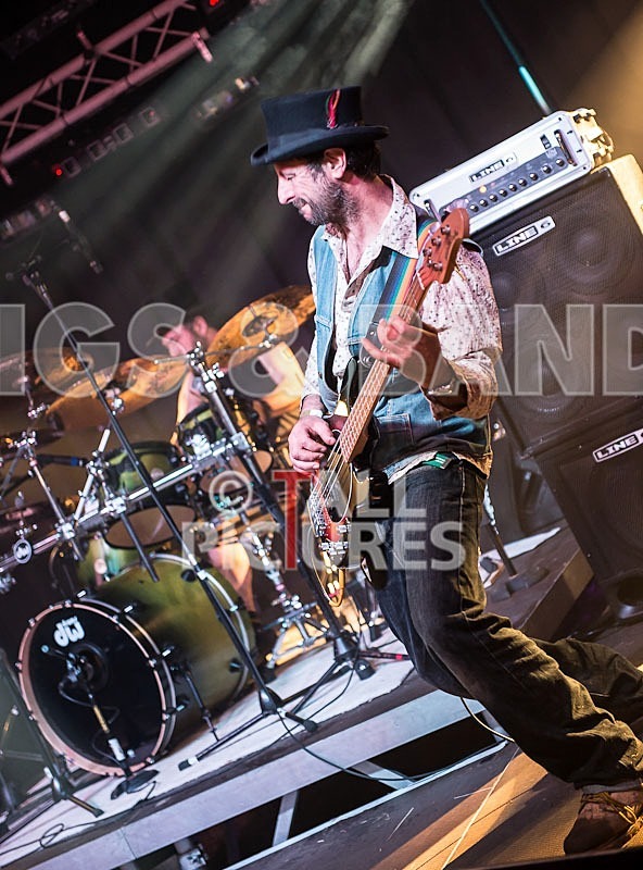 Peppered Ant Legs_Chaos8-14 - PEPPERED ANT LEGS