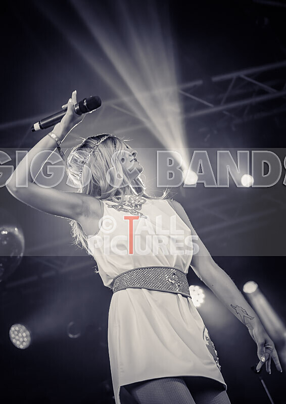 Abba Mania-20 - ABBA MANIA