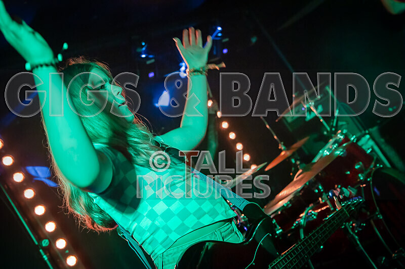 The Diehearts-7 - THE DIEHEARTS