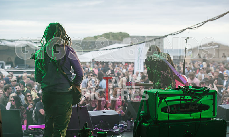 Vale Earth Fair_Atmosphere_2014-54 - VALE EARTH FAIR 2014 - THE ATMOSPHERE