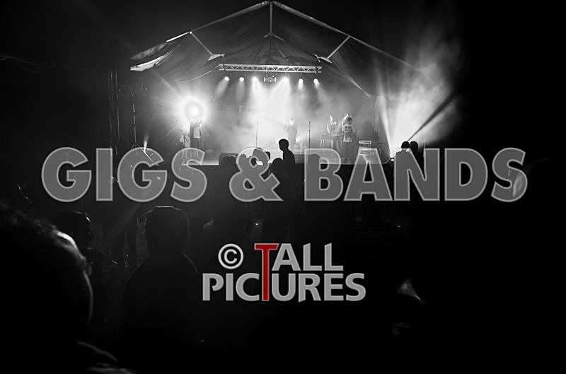 Asylum Seekas-23 - ASYLUM SEEKAS AT IVY CASTLE