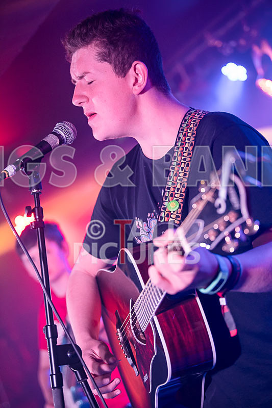 Purple Paradox-28 - PURPLE PARADOX