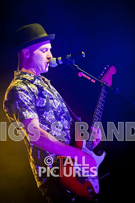 Peppered Ant Legs-6 - PEPPERED ANT LEGS at RoA-3