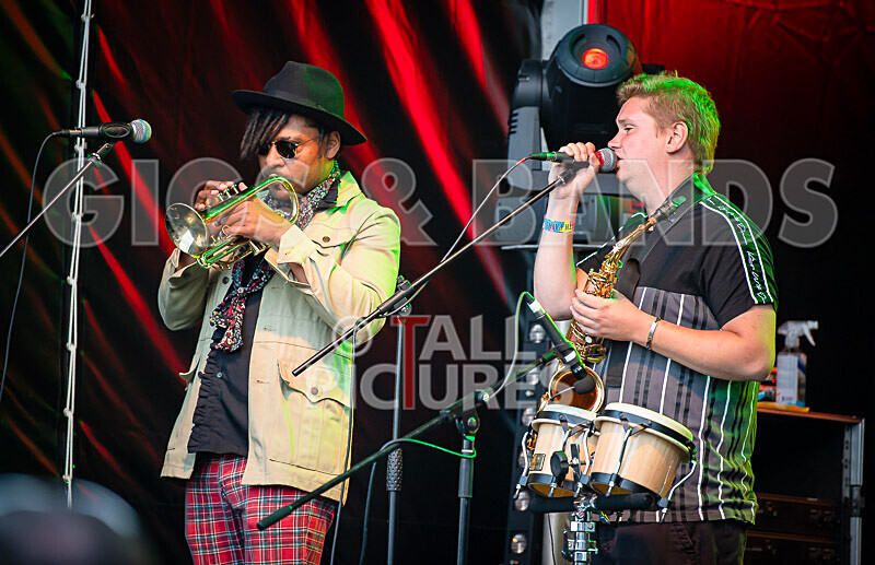 RentOClean-347 - RENTOCLEAN