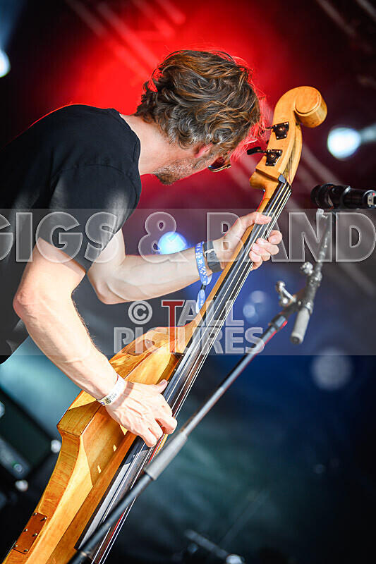 Buffalo Hudleston-743 - BUFFALO HUDLESTON