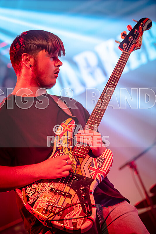 Darker Shade-31 - DARKER SHADE