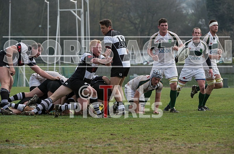 Rugby_Guernsey v Sutton  Epsom-6 - GUERNSEY v SUTTON & EPSOM RFC