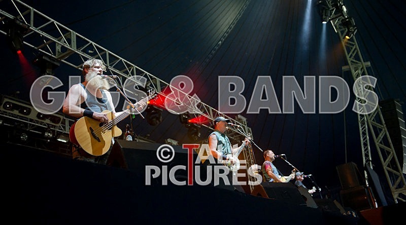 Hayseed Dixie-54 - HAYSEED DIXIE