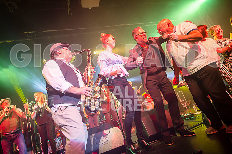 Harry Dean Junior and the New Breed-60 - HARRY DEAN JUNIOR AND THE NEW BREED