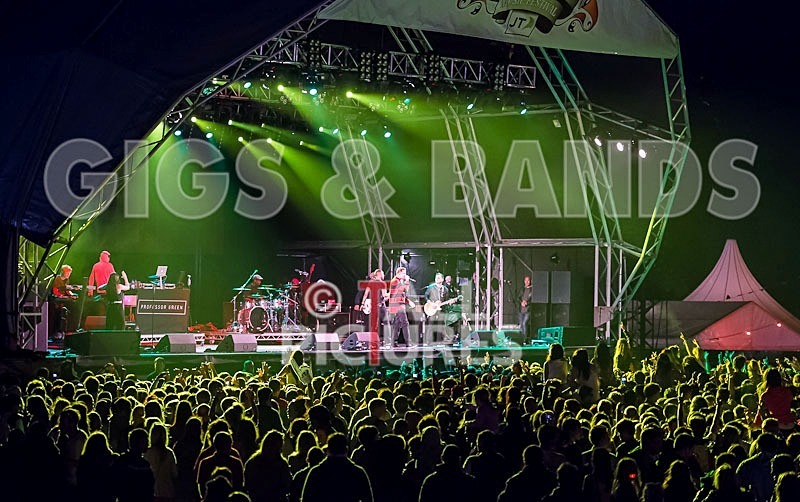 Jersey Live_2012_Good Vibes-32 - THE GOOD VIBES....