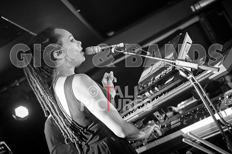 The Skints-37 - THE SKINTS