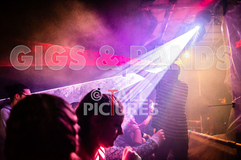 Vale Earth Fair 2018_SCENE-12 - VALE EARTH FAIR 2018_THE SCENE