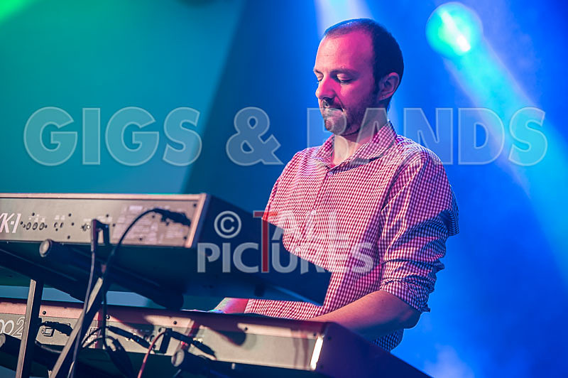 The Delegators-19 - THE DELEGATORS