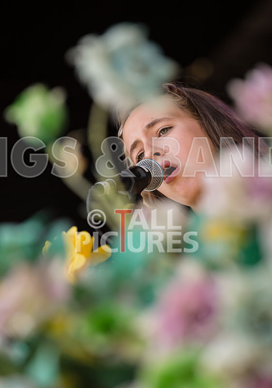 Vale Earth Fair 2017_SCENE-31 - VALE EARTH FAIR 2017_THE SCENE