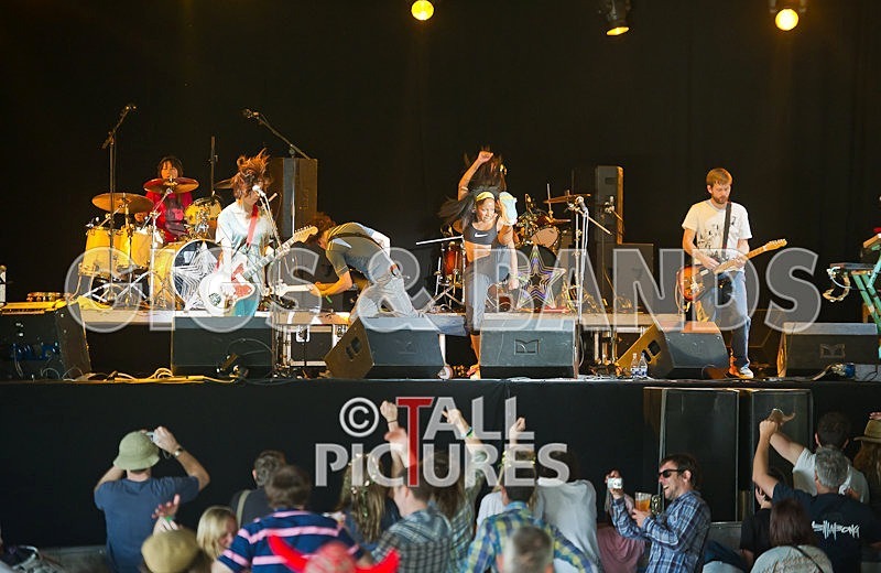 The Go Team-41 - THE GO! TEAM