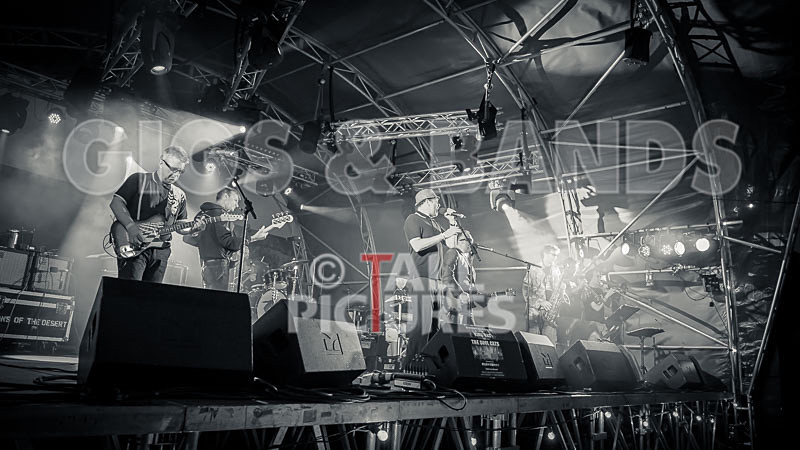 Sons of the Desert-325 - SONS OF THE DESERT