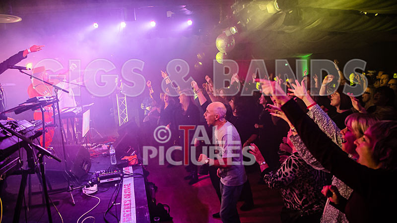 Fade2Grey-394 - FADE2GREY