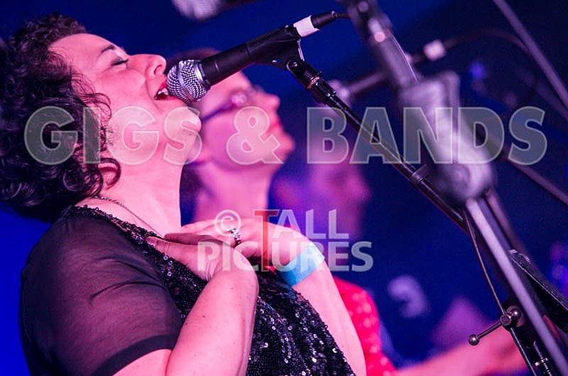 Ray and the Guns-26 - RAY AND THE GUNS