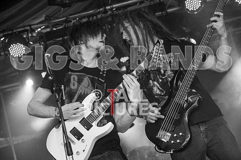 Distant Shores-10 - DISTANT SHORES