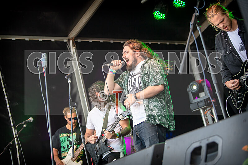 The Dust-21 - THE DUST