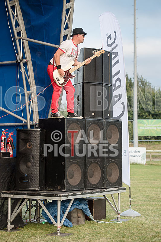 Peppered Ant Legs-260 - PEPPERED ANT LEGS