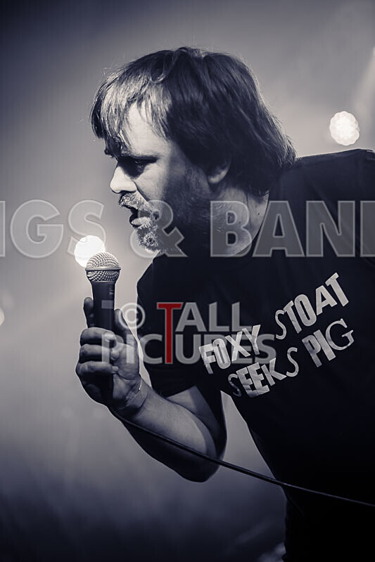 Foxy Stoat Seeks Pig-1 - FOXY STOAT SEEKS PIG