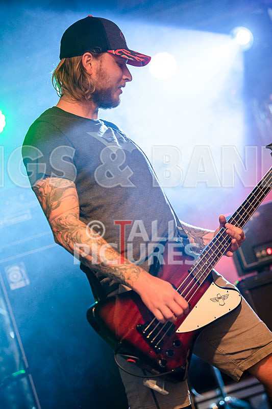 Granite Wolf-37 - GRANITE WOLF