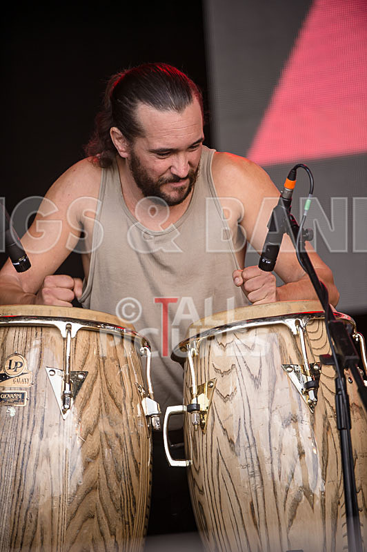 Billy Rowan-21 - BILLY ROWAN