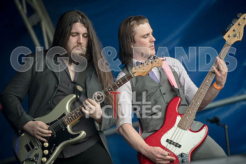 Stone Em All-291 - STONE EM ALL