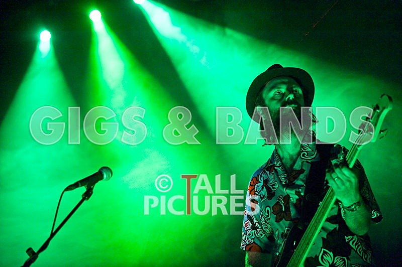 Peppered Ant Legs-33 - PEPPERED ANT LEGS at RoA-3